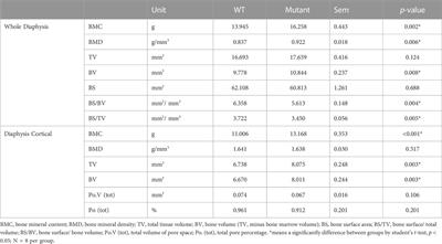 Increased sizes and improved qualities of tibia bones by myostatin mutation in Japanese quail